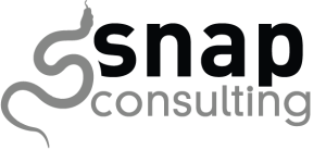 snap consulting 300x138 1